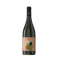 Syrah IGT Terre Siciliane
